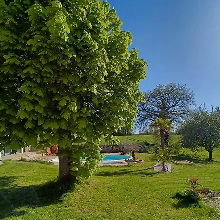 Dans Les Vignobles Cierzac