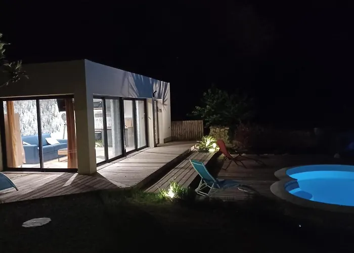 Dans Les Vignobles *