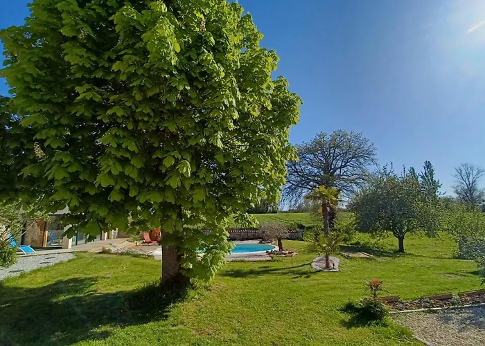 Dans Les Vignobles Cierzac